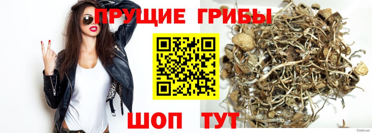 Галлюциногенные грибы прущие грибы Джанкой
